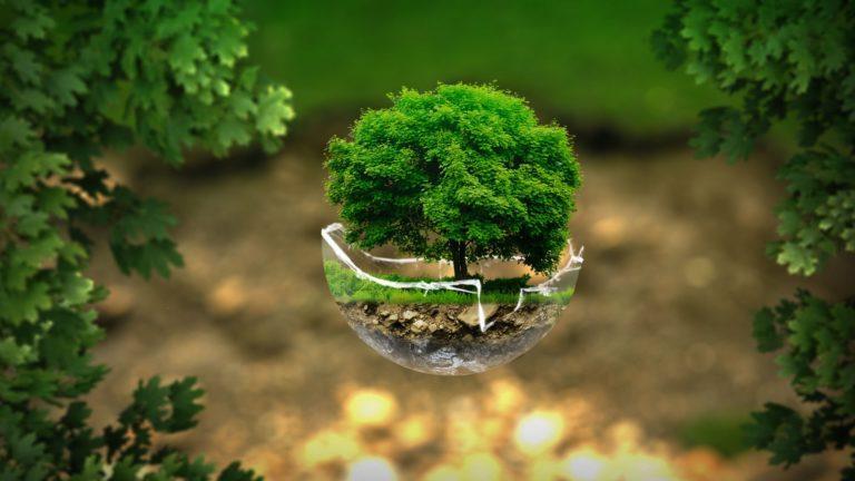 environment-2196690